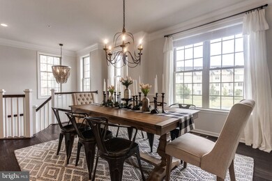 25041 Cambridge Hill Terrace, Chantilly, VA 20152 - photo 5