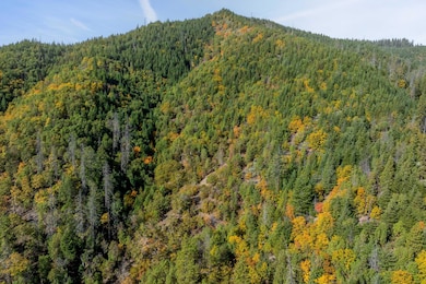 0 Sardine Creek Rd, Gold Hill, OR 97525 - photo 6