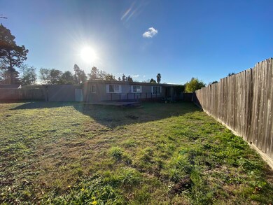 Back yard (2)