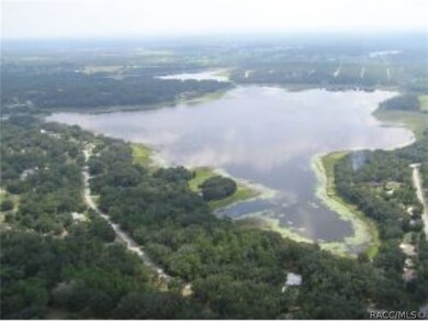 Lot 20 SW Barnacle Dr, Dunnellon, FL 34431 - photo 3