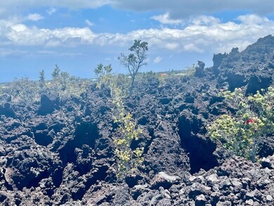 12 Lehua Ln, Ocean View, HI 96704 - photo 7
