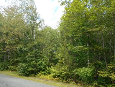DSCN0002 (1)