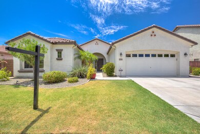Front Yard