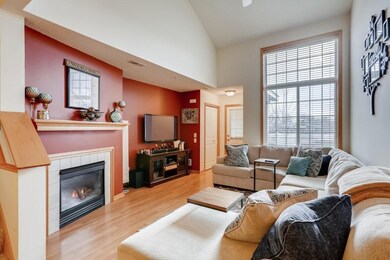 353 Ojibway Path Lino Lakes MN - MLS Sized - 003 -