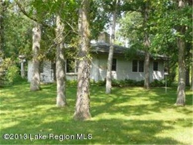 37741 Eldorado Beach Rd, Battle Lake, MN 56515 - photo 3