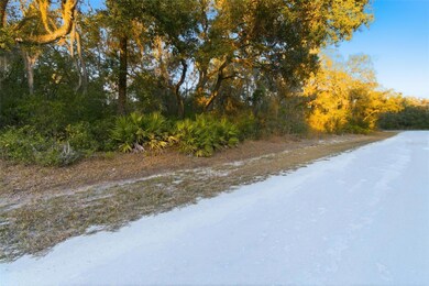 0 Riverstone St unit MFRTB8448266, Webster, FL 33597 - photo 3