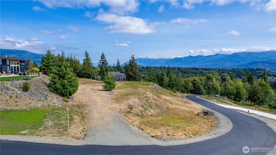 7583 Avalon Heights Way, Sedro Woolley, WA 98284 - photo 4