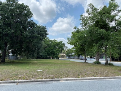 118 N Dillingham Ave, Kissimmee, FL 34741 - photo 3