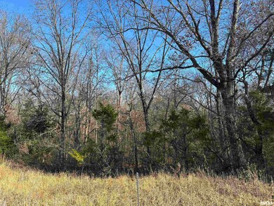 0000 N Dartmouth Ln, Mount Vernon, IL 62864 - photo 7