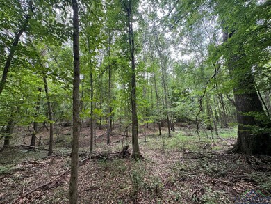 View of tree filled area