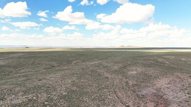 0 Ariz Rancho #85 Lots 005 & 024 unit 258777, Sun Valley, AZ 86029 - photo 3