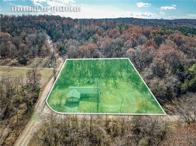 365 Marion County 6032, Yellville, AR 72687 - photo 4