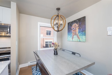 210 S Pine St unit 210, Telluride, CO 81435 - photo 4