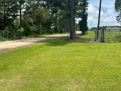 View from Driveway