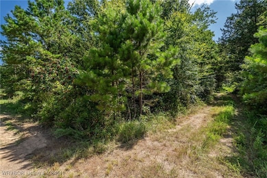 TBD Mountain Rd, Rudy, AR 72952 - photo 5