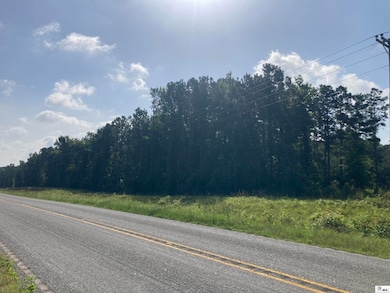 000 State Route 520 unit est 52 acres, Homer, LA 71040 - photo 7