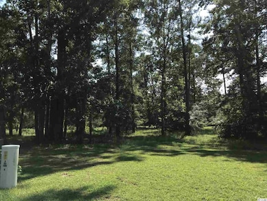 121 Bantry Ln, Conway, SC 29526 - photo 4