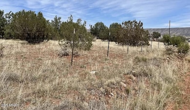 30386 W Basconia Rd unit 4394, Seligman, AZ 86337 - photo 3