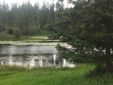 Land with Pond and Trees