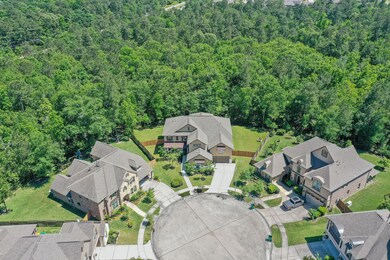 28255 Calaveras Lake Dr, Spring, TX 77386 - photo 3