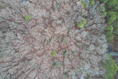 Lot # 28 Lauren Ct, Pittsboro, NC 27312 - photo 4