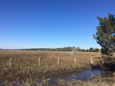 XX Mill Creek Rd, Crawfordville, FL 32327 - photo 4