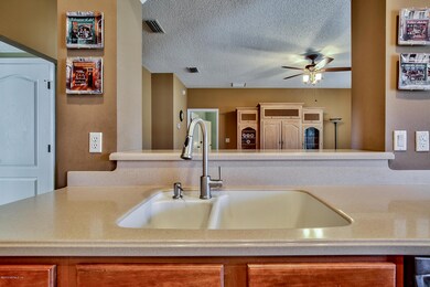 Integral Kitchen Sink