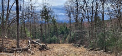 L3 Clendon Brook Rd unit ADIRONDACK PK, Queensbury, NY 12804 - photo 6