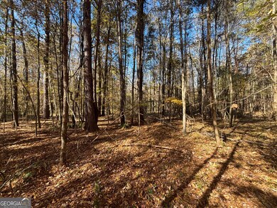0 Oconee Rd Lot 7, Buckhead, GA 30625 - photo 7