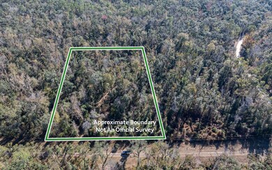 0 Lot 29 188th Trail, Live Oak, FL 32060 - photo 5