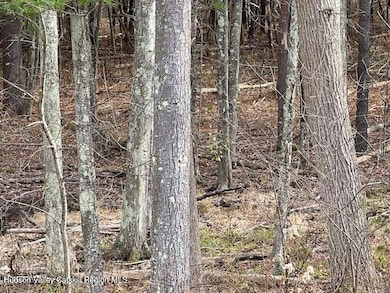 00 Schoharie Turnpike, Greenville, NY 12083 - photo 3