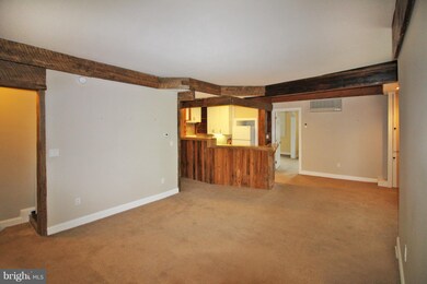10 Bridge St unit 10 A, Lambertville, NJ 08530 - photo 2