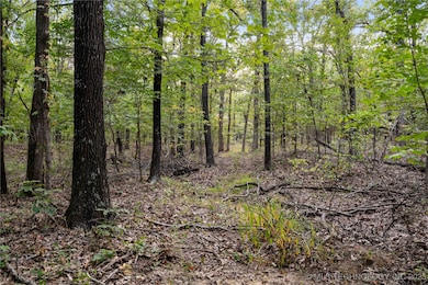 00168 N4400, Webbers Falls, OK 74470 - photo 4