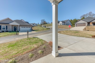 111 Quiet Stroll Ln, Gray, TN 37615 - photo 5