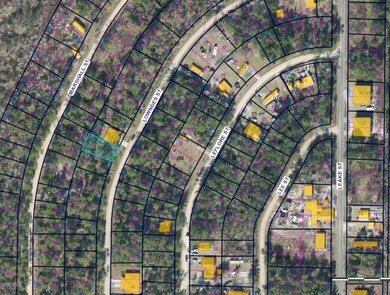 Lot 12 LOWNDES AERIAL 2