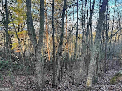 0 Daybreak Rd unit 10656893, Cleveland, GA 30528 - photo 4