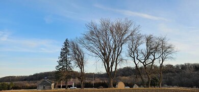 30550 County Road 16, Preston Township, MN - photo 6