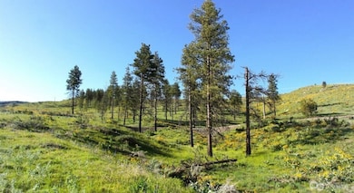 15 Sawtooth View Rd, Pateros, WA 98846 - photo 5