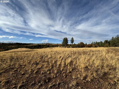 0 Jensen Quarry Rd unit 458778571, Bickleton, WA 99322 - photo 4