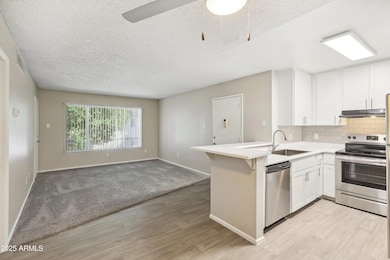 1620 W Southern Ave unit S1, Mesa, AZ 85202 - photo 3