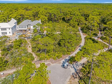 116 Featherbed Aly, Inlet Beach, FL 32461 - photo 6