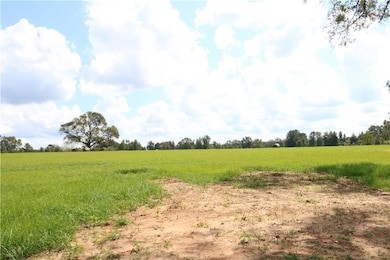Lot 10 Zack Magee Rd, Franklinton, LA 70438 - photo 2