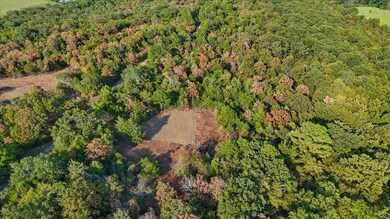 3 Latham School Rd, Shady Point, OK 74956 - photo 6