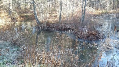 BACKYARD POND