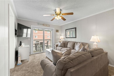 Living room with carpet, ceiling fan, crown molding, and a textured ceiling