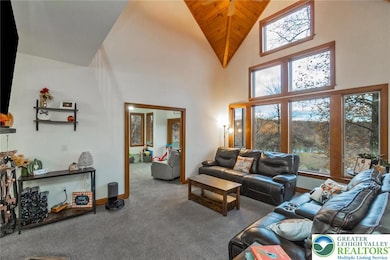 Living room with wall of windows, vaulted ceiling w/knotty pine accents
