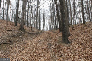 0 Push Root Rd unit WVMI111820, Burlington, WV 26710 - photo 4