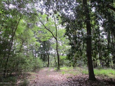 Wooded Lot