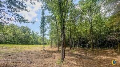 0 Birdsong Rd, Camden, TN 38320 - photo 6