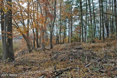 0 Pond Neck Rd unit 1001673633, Earleville, MD 21919 - photo 4